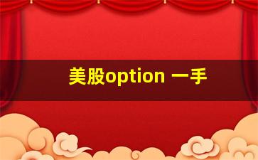 美股option 一手